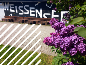 Strandbad-Weissensee.jpg (151 KB)